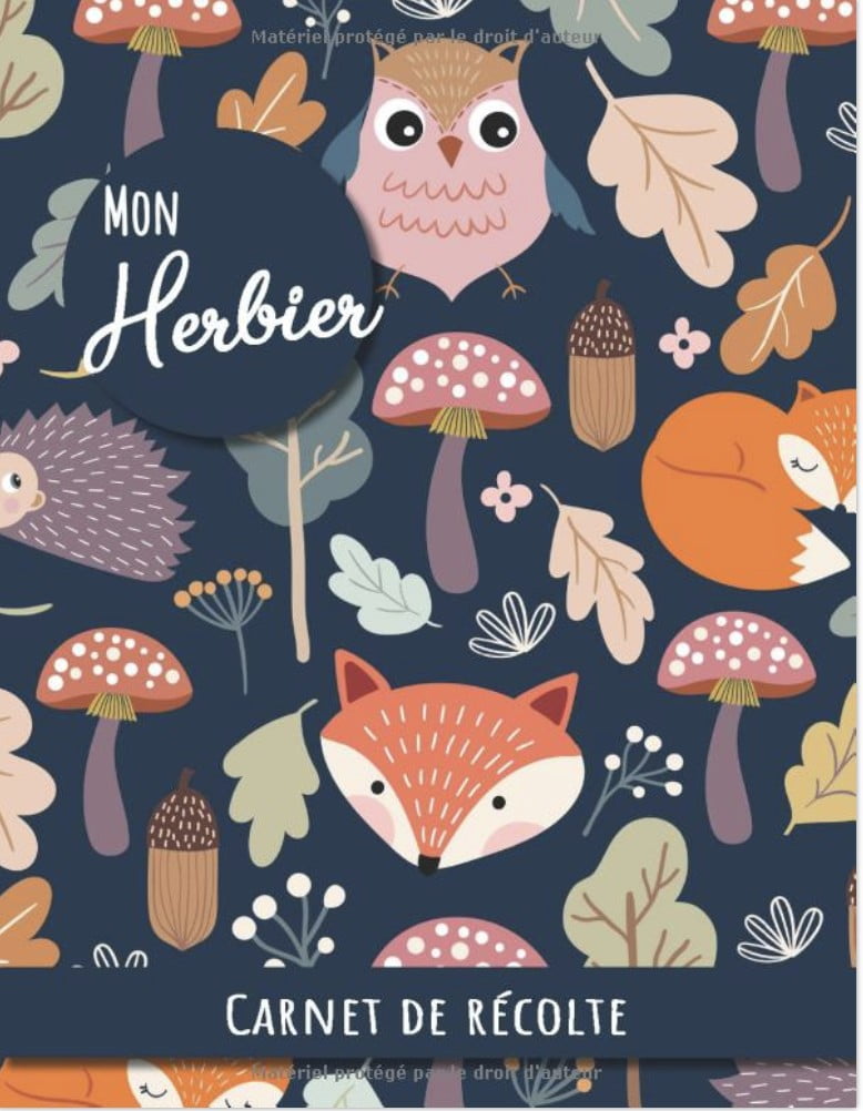 Mon Herbier - Carnet de récolte Carnet de recueil de feuilles et fleurs pour les amoureux de la nature et de la botanique. Adultes et enfants - 107 pages Format A4