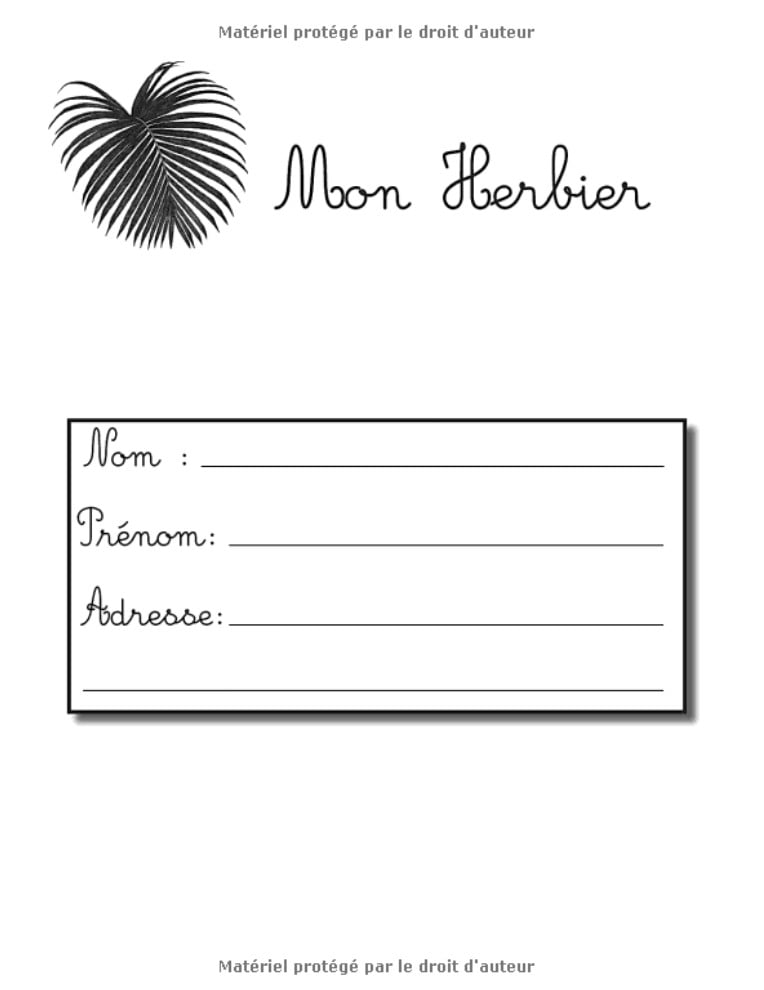 Mon Herbier - Carnet de récolte Carnet de recueil de feuilles et fleurs pour les amoureux de la nature et de la botanique. Adultes et enfants - 107 pages Format A4
