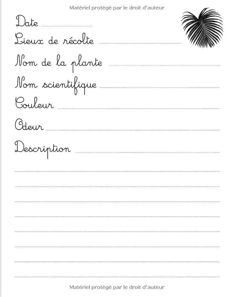 Mon Herbier - Carnet de récolte Carnet de recueil de feuilles et fleurs pour les amoureux de la nature et de la botanique. Adultes et enfants - 107 pages Format A4