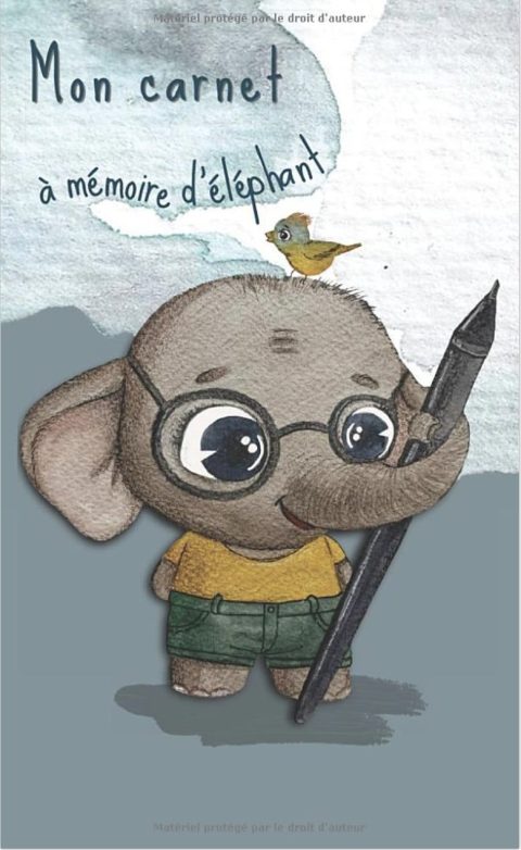 Mon carnet à mémoire d'éléphant. Carnet de mot de passe alphabétique
