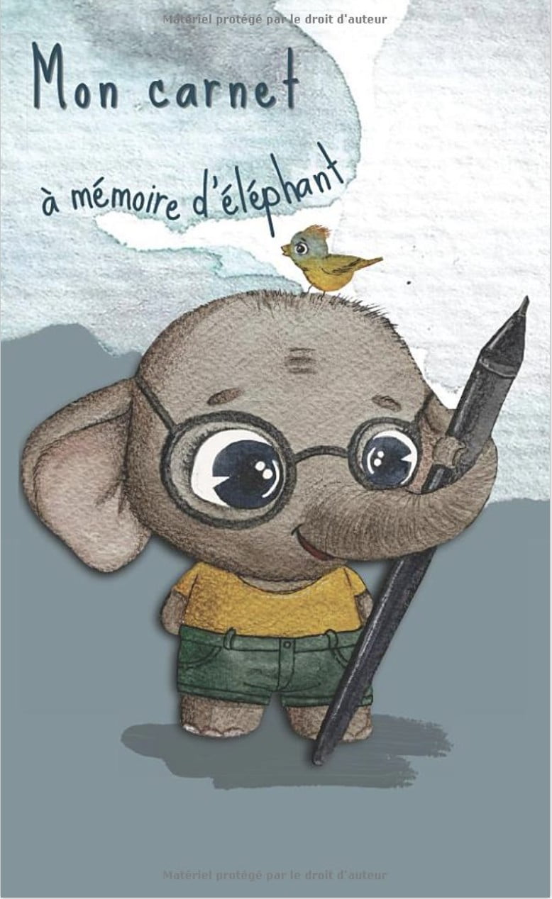 Mon carnet à mémoire d'éléphant. Carnet de mot de passe alphabétique