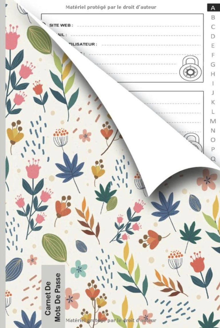 Carnet de Mots de Passe alphabétique à remplir