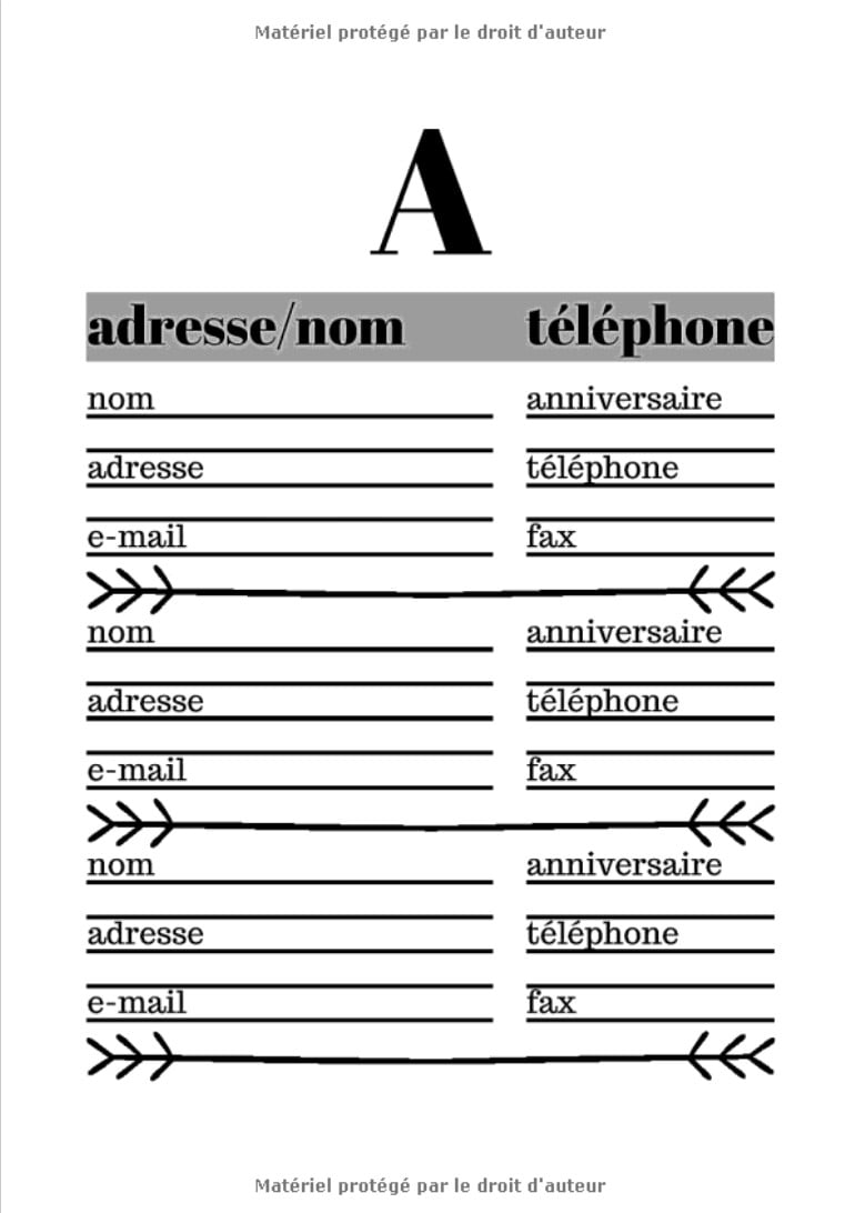 Carnet d'adresses Chat Chaton Gestion de répertoire très simple d'utilisation
