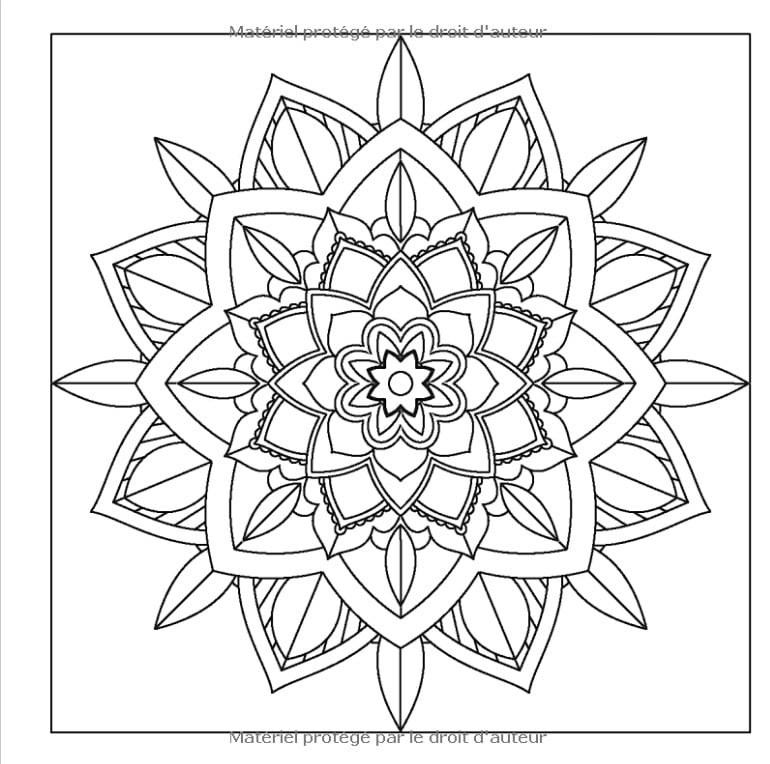 100 Mandalas Faciles Livre de Coloriage pour Adultes