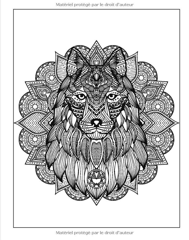 Chiens avec Mandalas - Livre de Coloriage pour Adultes