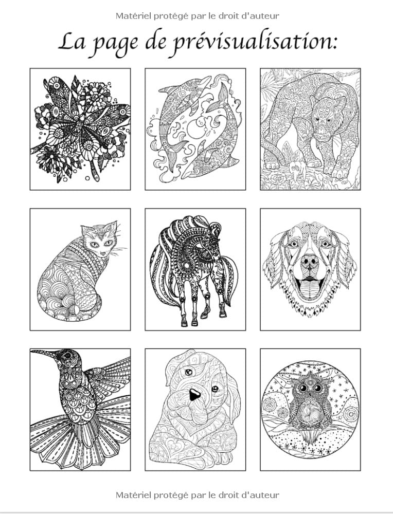 100 Animaux - Livre de Coloriage pour Adultes