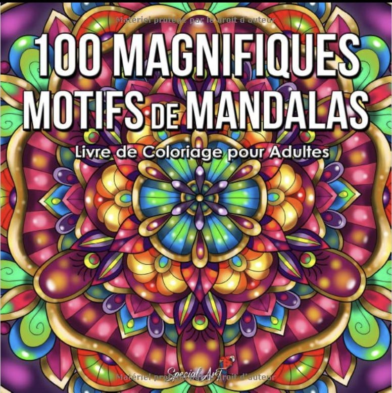 100 Magnifiques Motifs de Mandalas Livre de Coloriage pour Adultes
