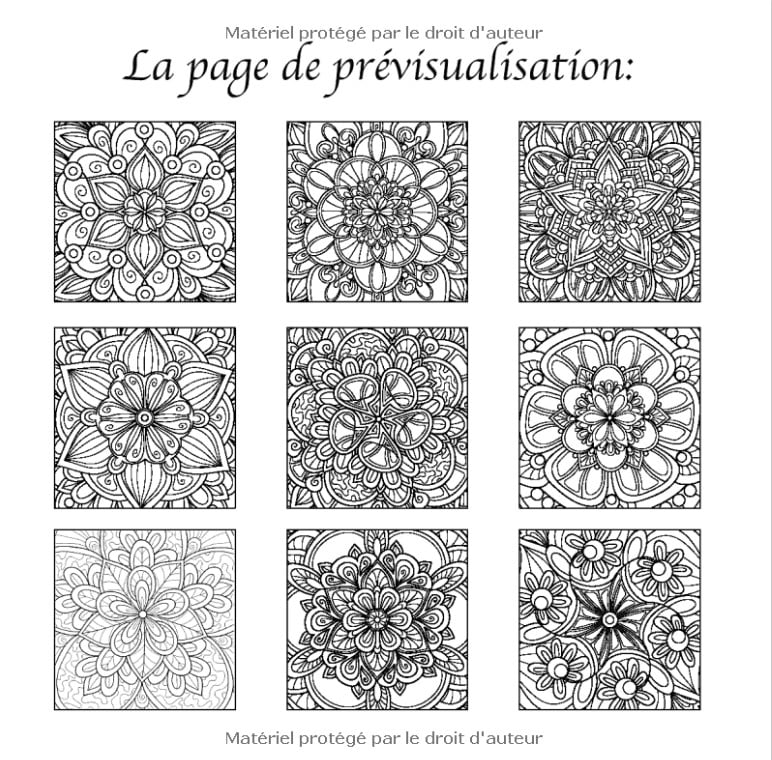 100 Magnifiques Motifs de Mandalas Livre de Coloriage pour Adultes