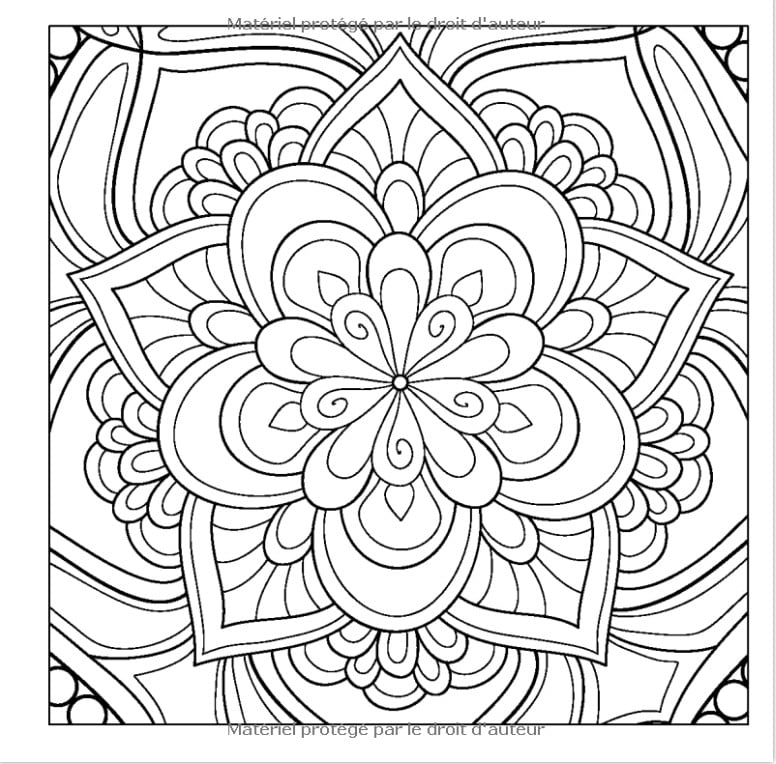100 Magnifiques Motifs de Mandalas Livre de Coloriage pour Adultes