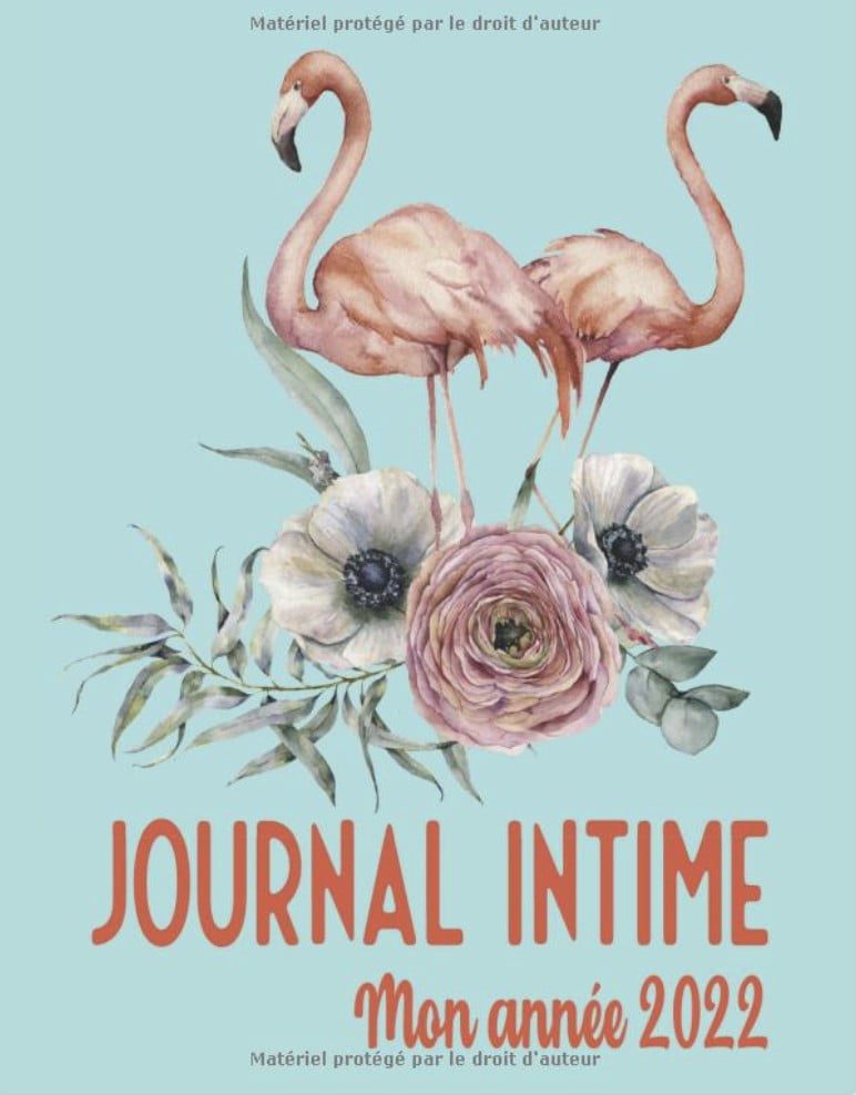 Mon Journal Intime - Carnet de Note Ligné