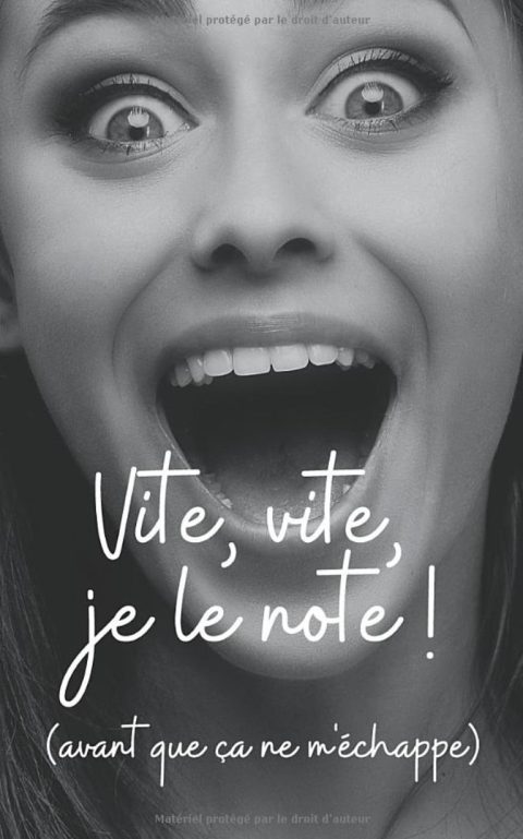 Vite, vite, je le note ! Un carnet de notes au format poche