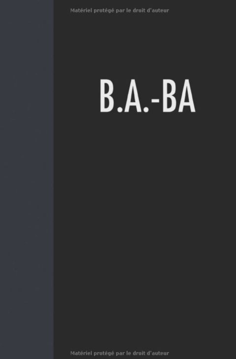 B.A.-BA - 3 mois  Ton bullet journal d'auto-discipline afin de réaliser tes projets