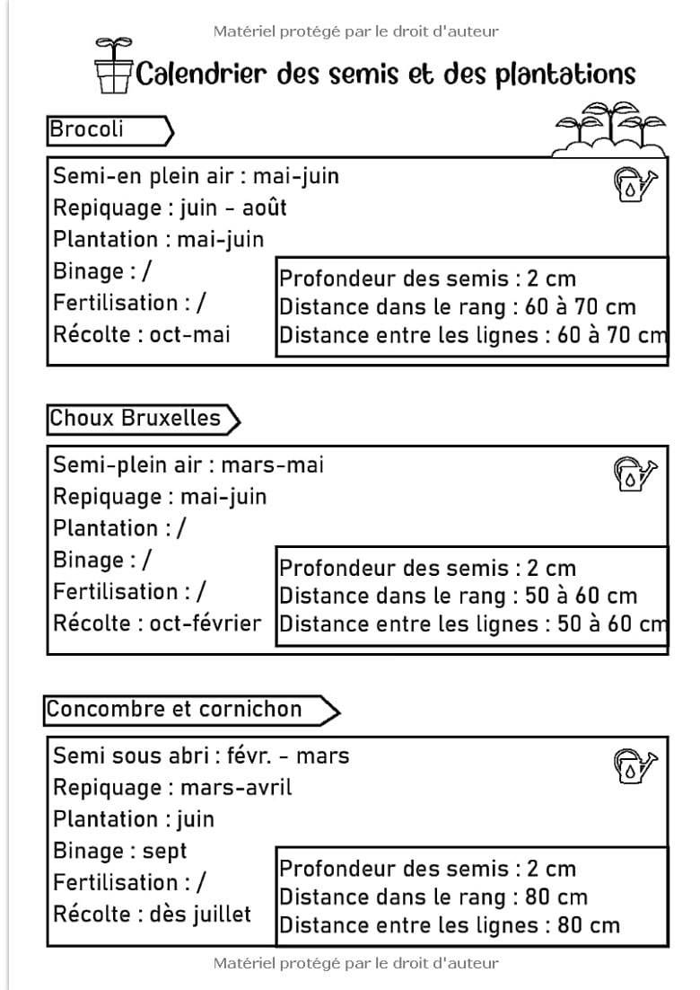 Carnet à Compléter  Jardin Potager + Bonus
