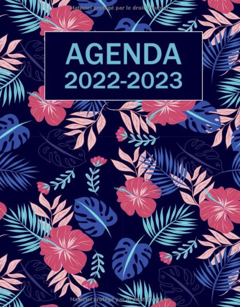 Agenda 2022-2023 Semainier 1 semaine sur deux pages ,18 mois de juin 2022 à décembre 2023