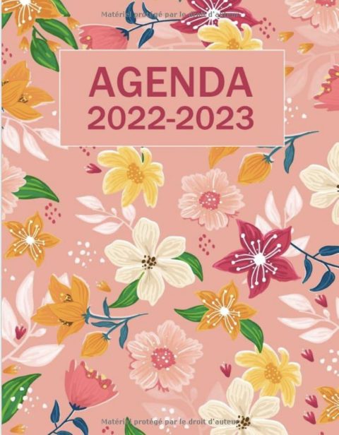 Agenda 2022-2023 Semainier 1 semaine sur deux pages