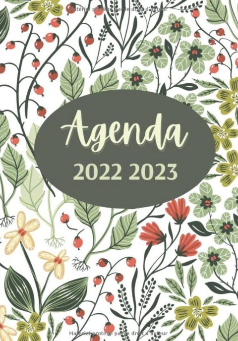 Agenda 2022 2023 Organisateur quotidien de Août 2022 à Août 2023