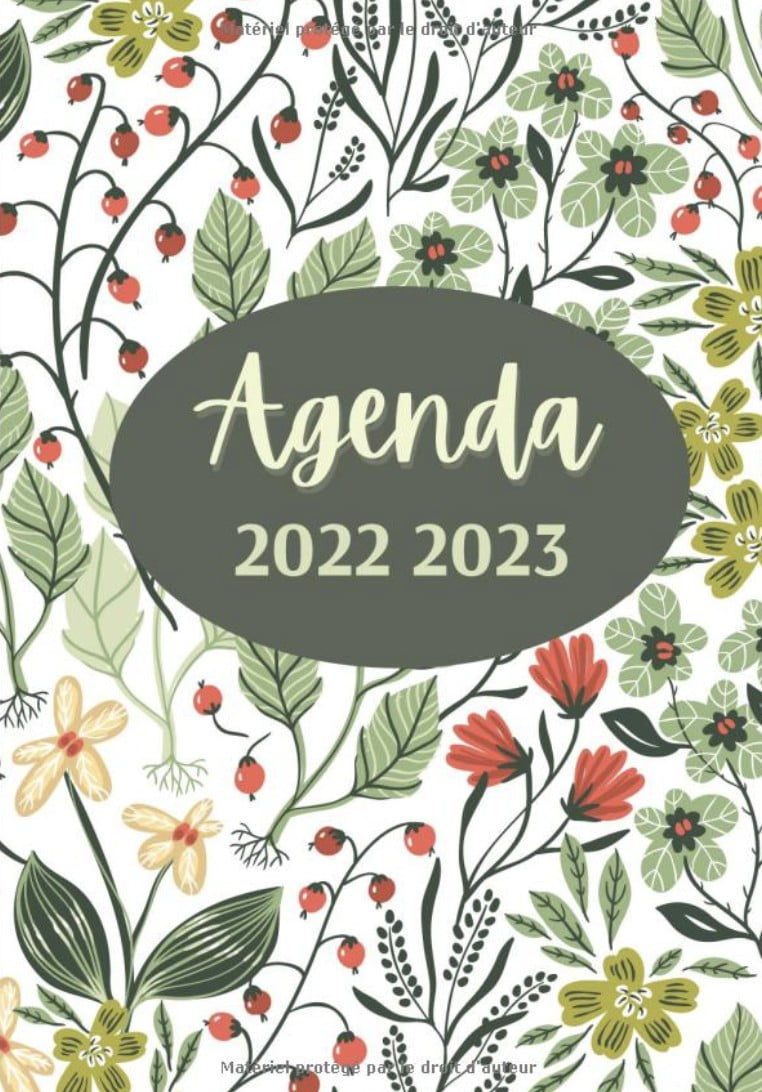 Agenda 2022 2023 Organisateur quotidien de Août 2022 à Août 2023