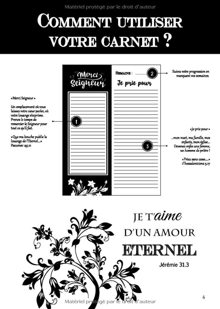 Journal de prière GRAND FORMAT - 52 semaines pour organiser votre lecture de la Bible, noter vos prières, vos gratitudes...