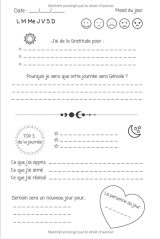 Journal de gratitude d'une ado au top Livre positif de confiance en soi et motivation - dès 12 ans