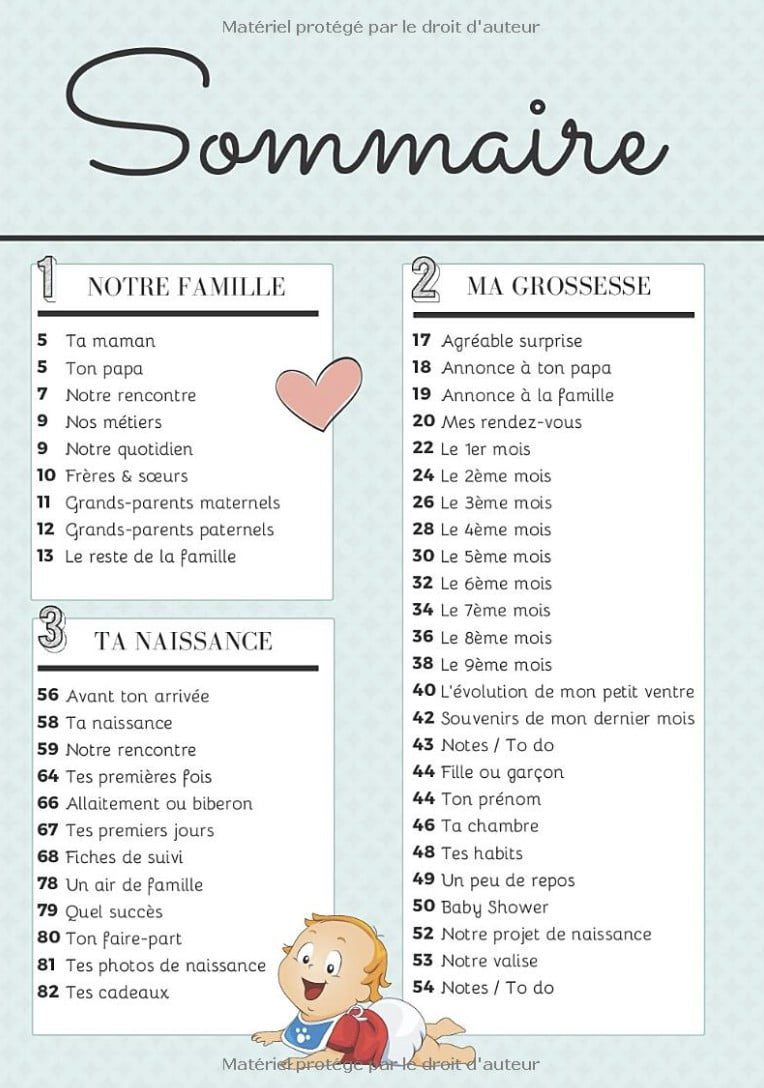 Mon journal de grossesse - Livre de grossesse et de naissance à remplir