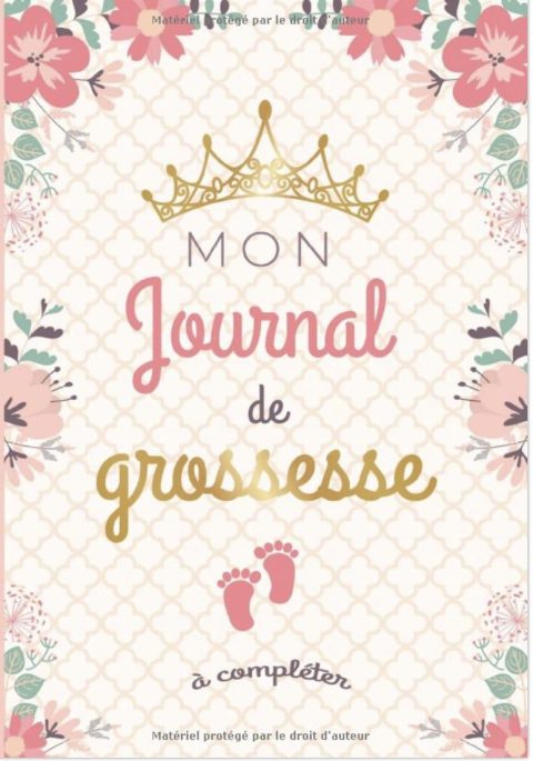 Mon journal de grossesse à compléter De la grossesse à la première année de bébé