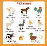 Mon imagier bilingue Français Arabe, 250 mots de la vie de tous les jours apprendre l'arabe pour les enfants