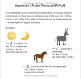 Mon imagier bilingue Français Darija, 250 mots de la vie de tous les jours apprendre la Darija pour les enfants