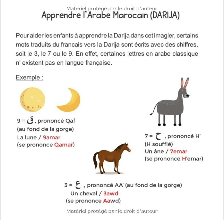 Mon imagier bilingue Français Darija, 250 mots de la vie de tous les jours apprendre la Darija pour les enfants