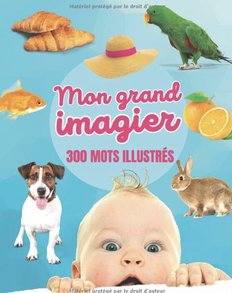 Mon grand Imagier - 300 mots illustrés livre d'éveil bébé et enfant avec 22 thèmes