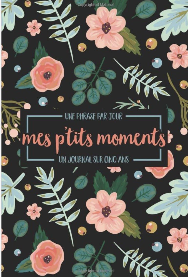 Une phrase par jour - Mes p'tits moments - Un journal sur cinq ans
