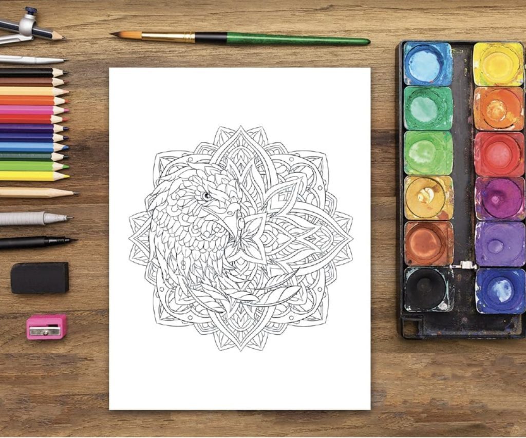 Livre de coloriage pour adultes Mandalas d'animaux
