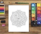 Livre de coloriage pour adultes Mandalas d'animaux