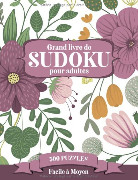 Grand livre de Sudoku pour adultes - 500 Puzzles - Facile à Moyen