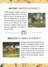 Je découvre les chevaux et l'équitation - Pour enfants à partir de 7 ans Livre illustré pour tout savoir du cheval