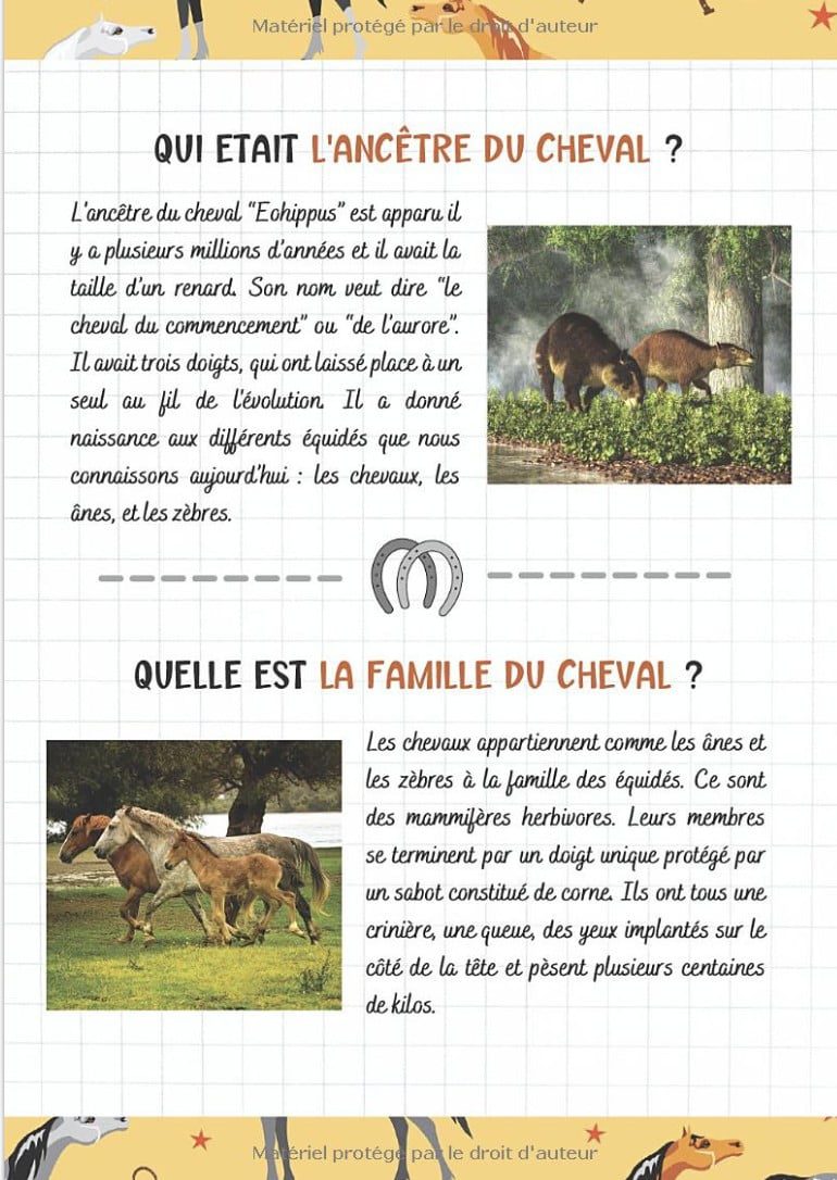 Je découvre les chevaux et l'équitation - Pour enfants à partir de 7 ans Livre illustré pour tout savoir du cheval