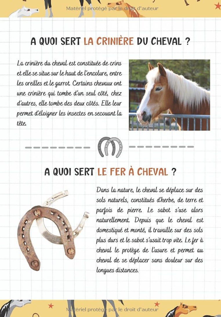 Je découvre les chevaux et l'équitation - Pour enfants à partir de 7 ans Livre illustré pour tout savoir du cheval