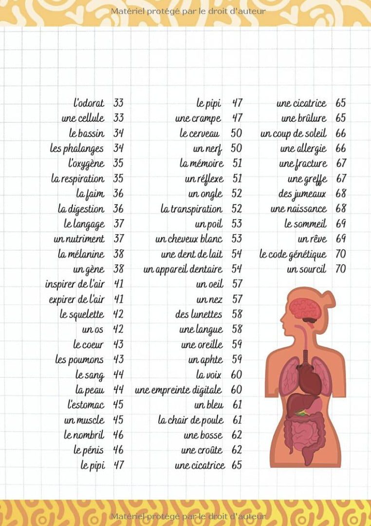 Je découvre le corps humain - Pour enfants à partir de 7 ans Livre illustré pour tout savoir sur l'anatomie, les organes, les cinq sens
