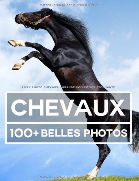 Livre Photo Chevaux - Grande Collection Étonnante 100 Belles Photos Dans Ce Fantastique Livre