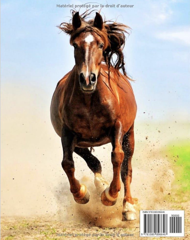 Livre Photo Chevaux - Grande Collection Étonnante 100 Belles Photos Dans Ce Fantastique Livre