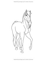 Coloriage Chevaux Livre de coloriage enfant 4-9 ans