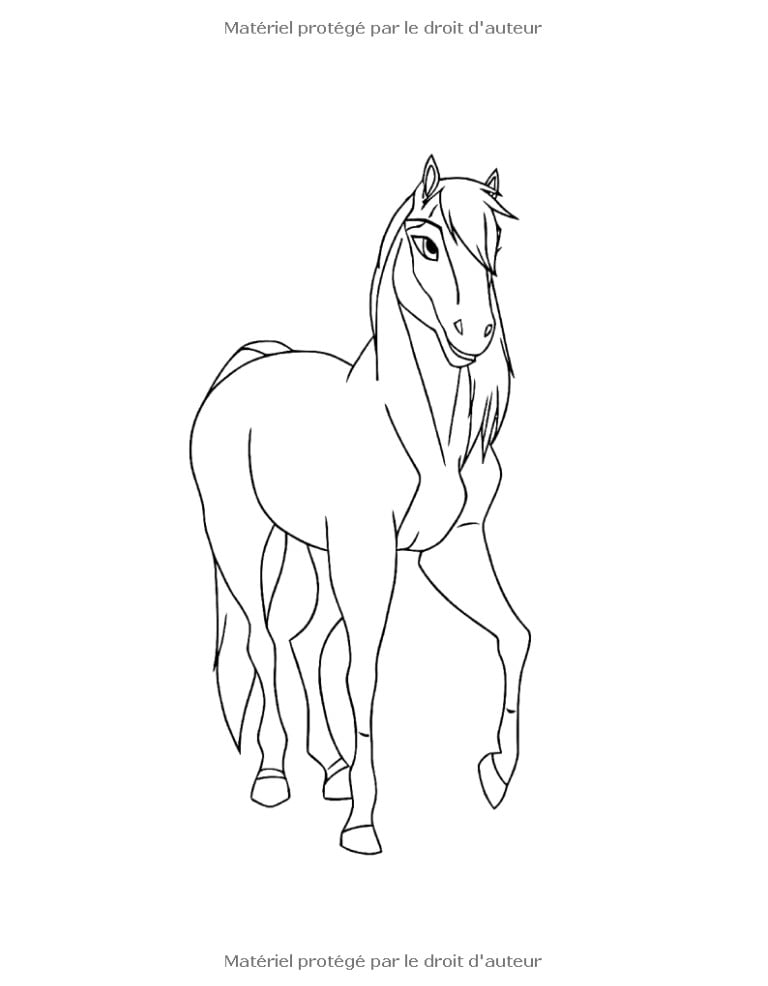 Coloriage Chevaux Livre de coloriage enfant 4-9 ans