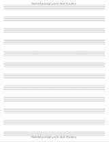 Cahier De Musique Carnet De Partitions - Seyes Grands Carreaux et Portées