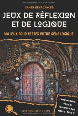 Cahier de vacances - Jeux de réflexion et de logique 100 jeux pour tester votre sens logique