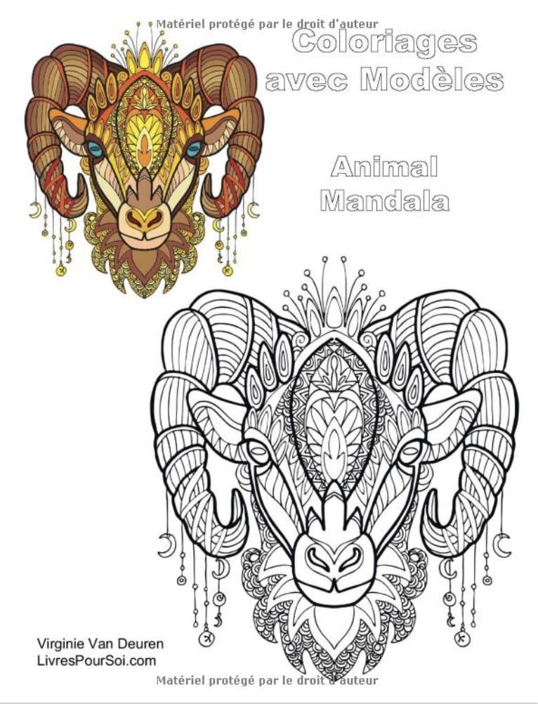 Coloriages avec Modèles : Animal Mandala 25 coloriages avec modèles en couleur