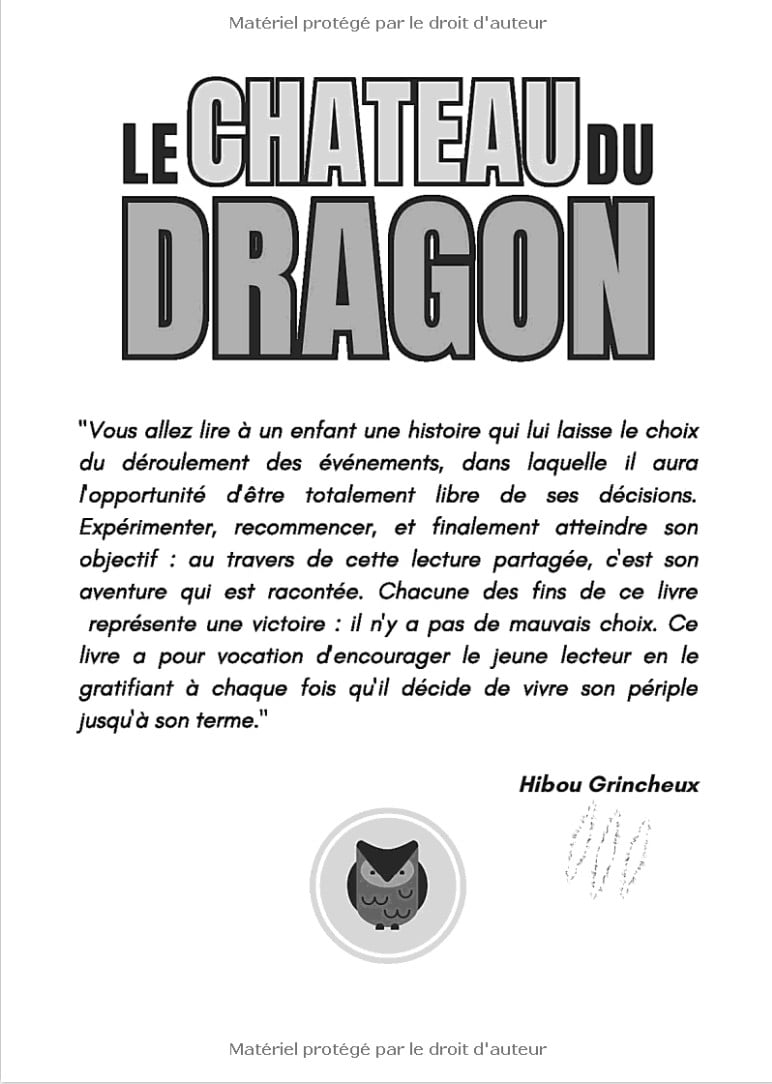 Le château du dragon Le conte dont TU es le héros (à partir de 4 ans)