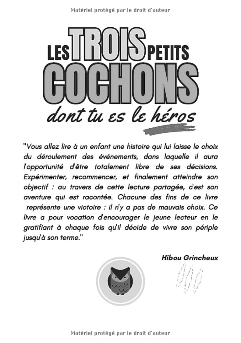Les trois petits cochons dont tu es le héros Le conte interactif pour enfants à partir de 3 ans