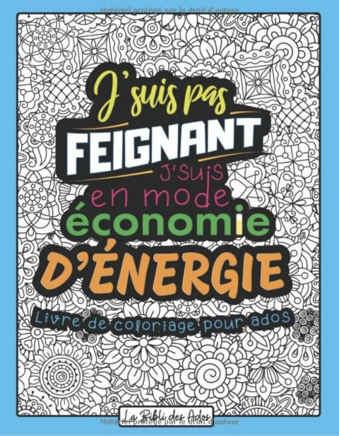 J'suis pas Feignant J'suis en mode Économie d'énergie Livre de Coloriage Drôle et Décalé
