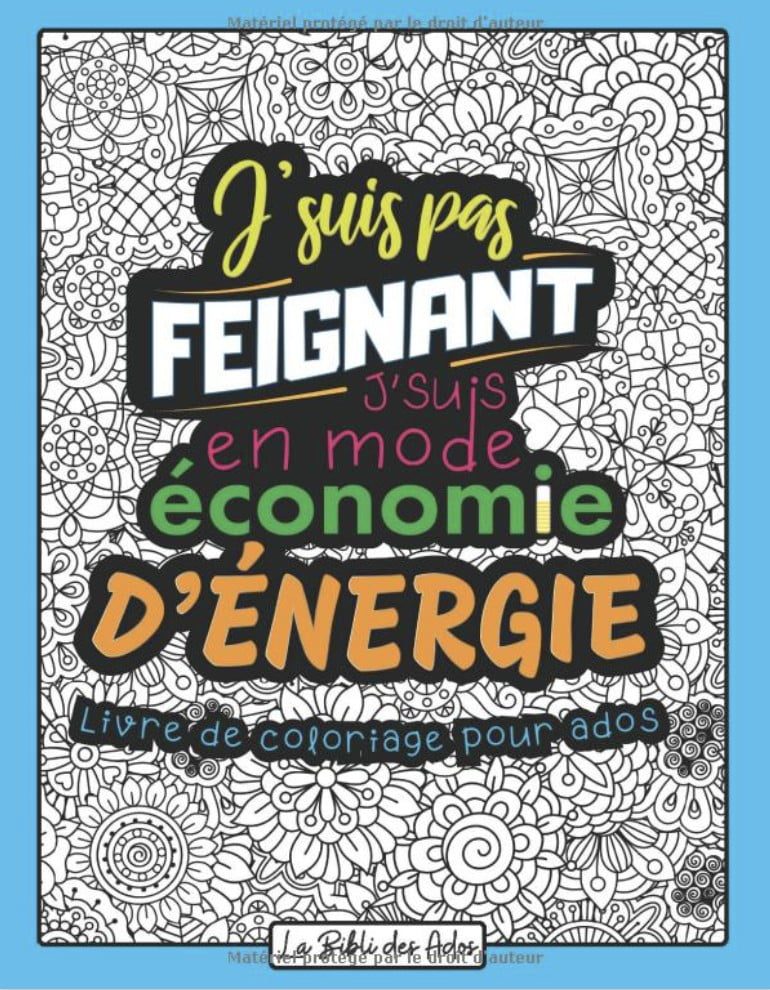 J'suis pas Feignant J'suis en mode Économie d'énergie Livre de Coloriage Drôle et Décalé