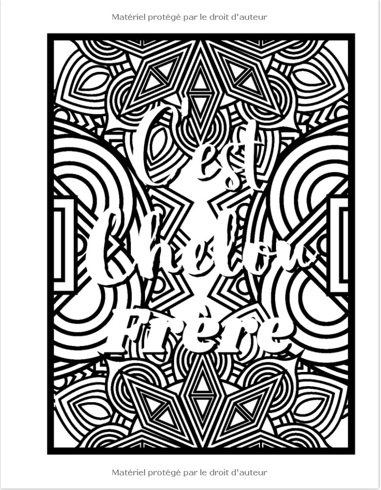 J'suis pas Feignant J'suis en mode Économie d'énergie Livre de Coloriage Drôle et Décalé