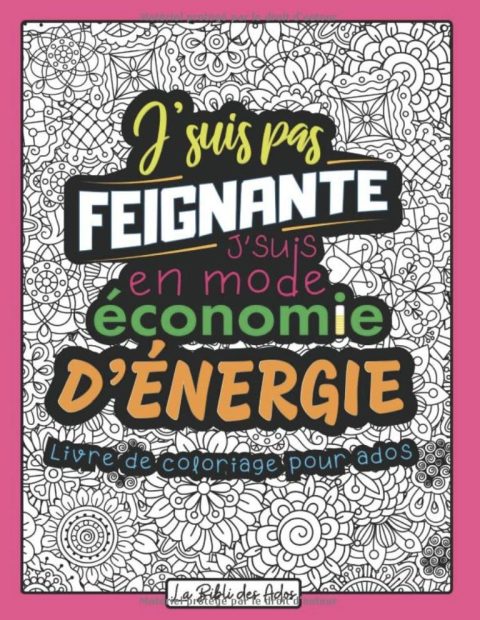 J'suis pas Feignante J'suis en mode Économie d'énergie Livre de Coloriage Drôle et Décalé